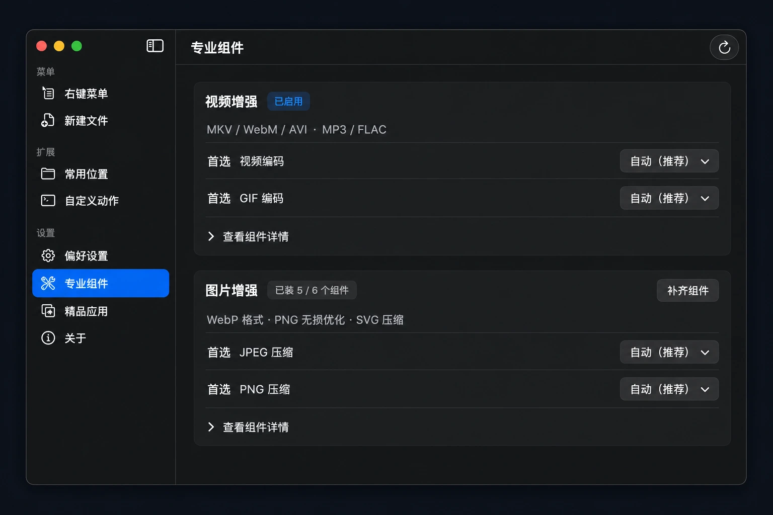 Rightora 专业组件页面：视频增强与图片增强按能力分组，可选首选编码器